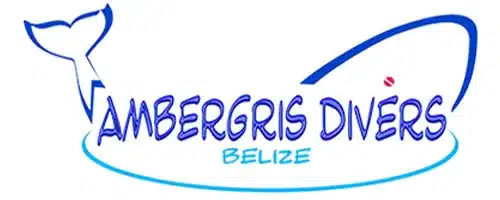 Ambergris Divers