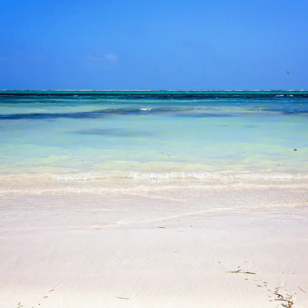 Stunning Belize beach view showcasing soft sand and vibrant sea.