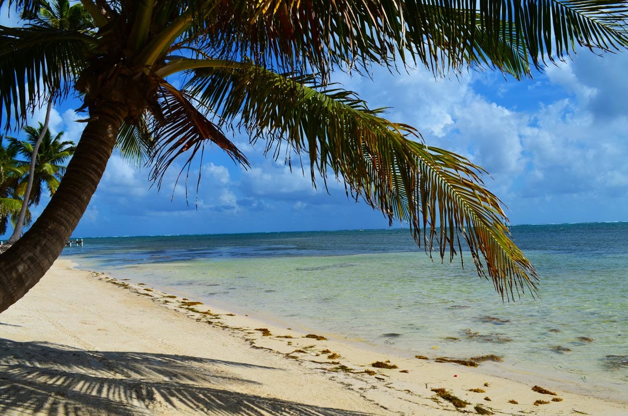 Habaneros Beachfront