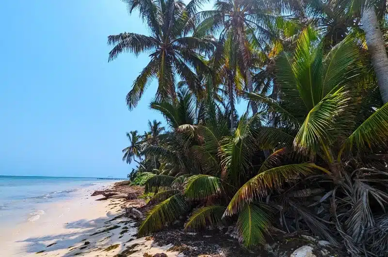 Habaneros Beachfront Land For Sale in Belize