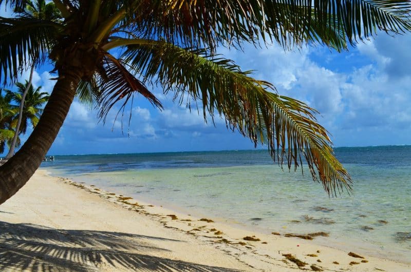 Habaneros Beachfront Land For Sale in Belize
