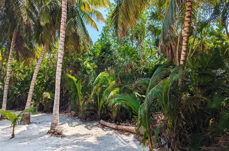 Habaneros Beachfront Land For Sale in Belize