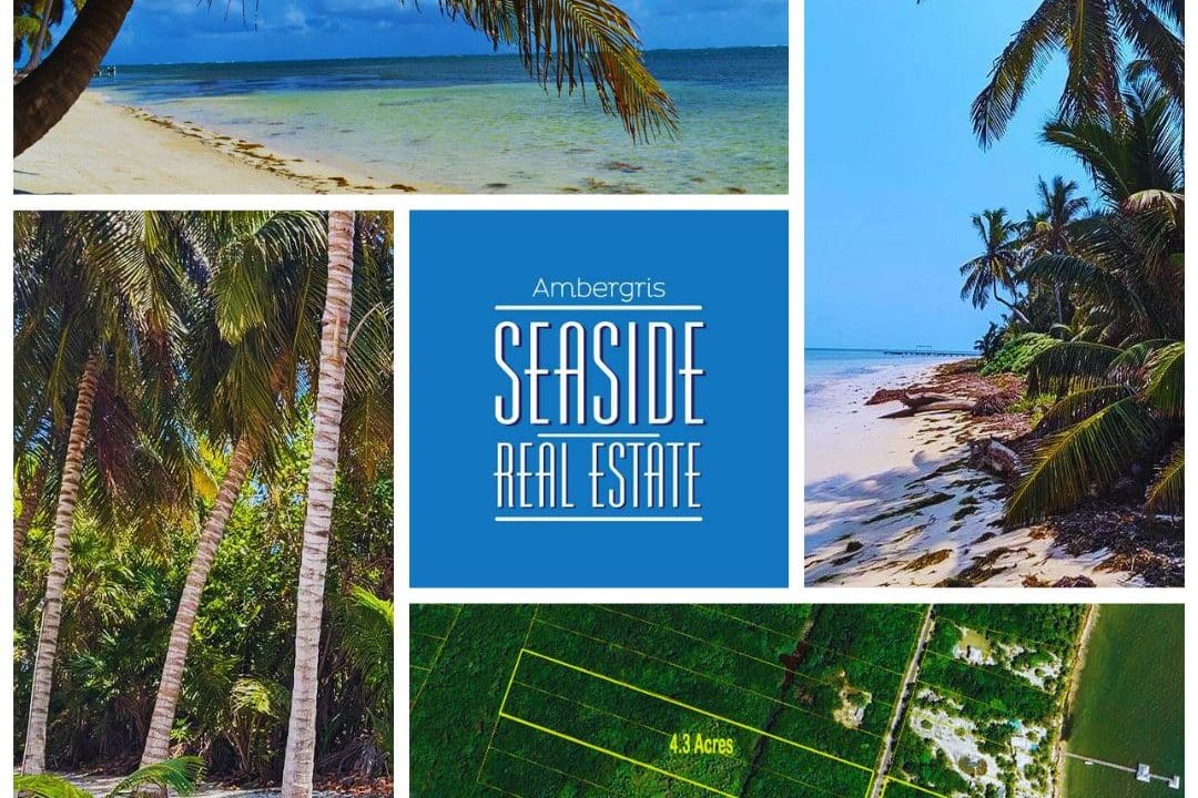 Habaneros Beachfront Land For Sale in Ambergris Caye Belize