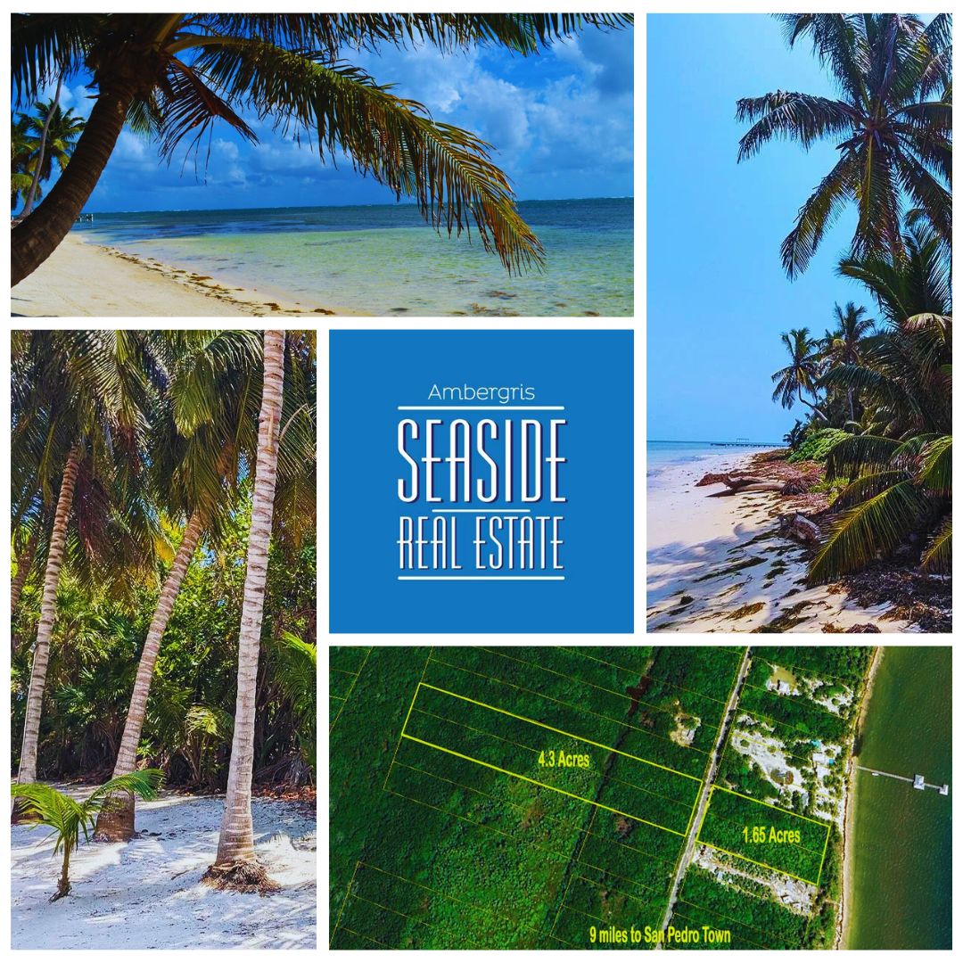 Habaneros Beachfront Land For Sale in Ambergris Caye Belize