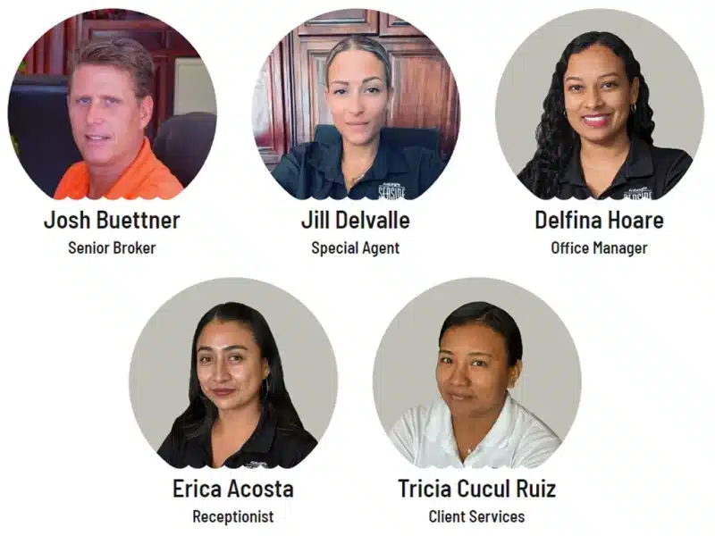 Our Team