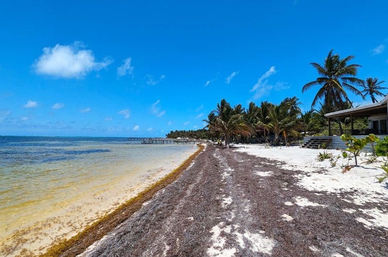 Spanish Reef Beachfront Oceanview