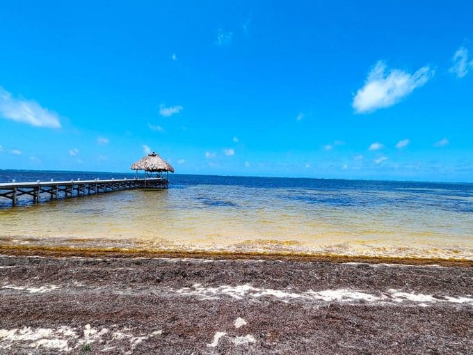Beachfront Lot For Sale Near Secret Beach Turnoff & San Pedro Town