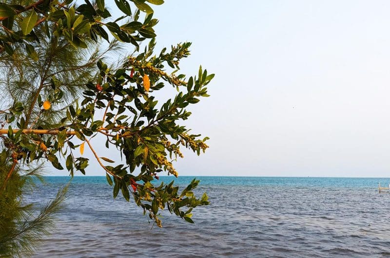 Beachfront South with Bonus Lot