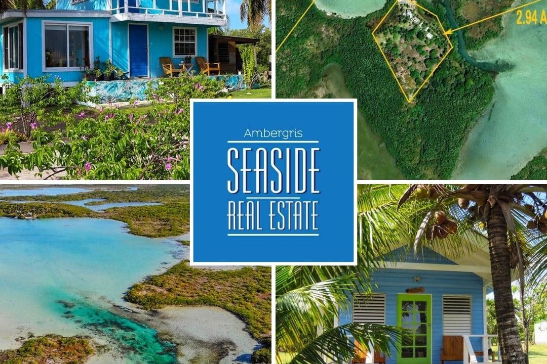 Cayo Francis Farm and Fly in Belize