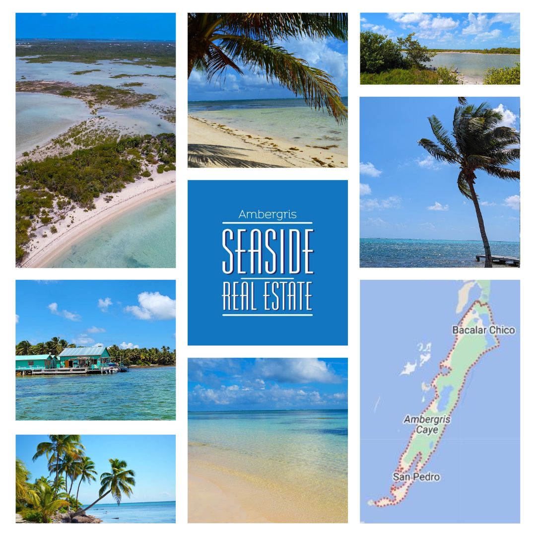 Land For Sale in Belize