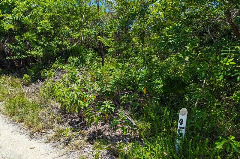 North Canal Lot