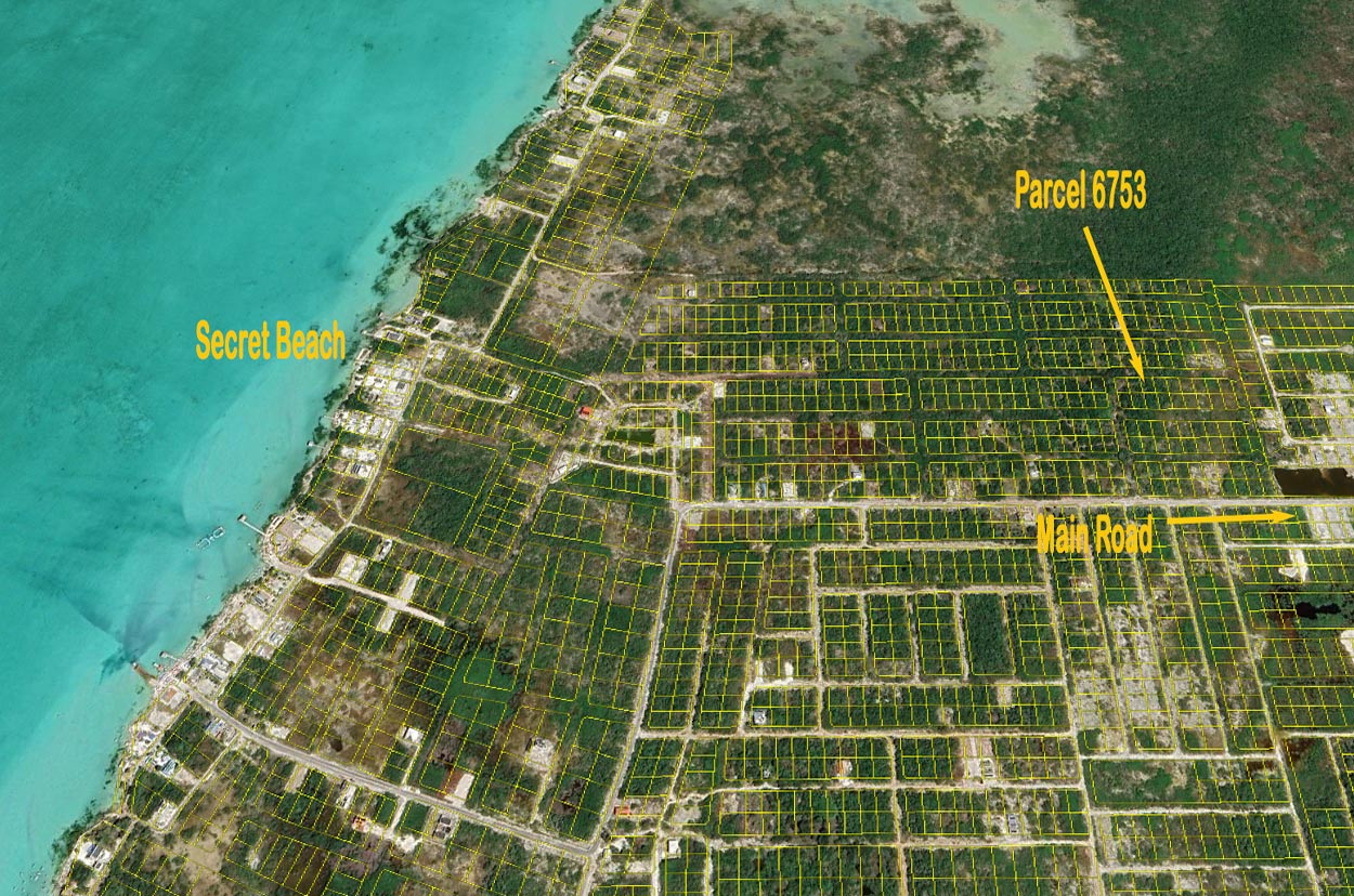 Palmaya Woods Property