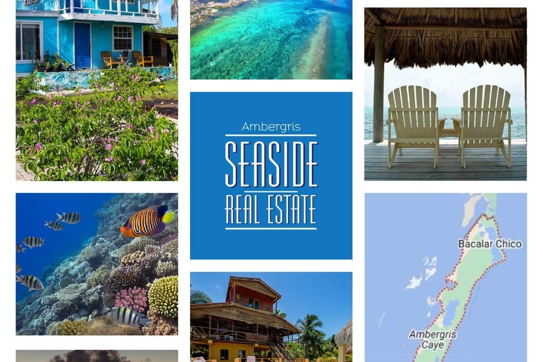 Discover Your Dream Property on Ambergris Caye - 9 Image Collage
