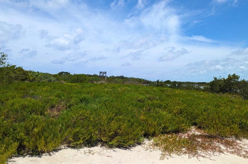 Belize Lot for Sale - North Canal Lagoon Property - View From Lot