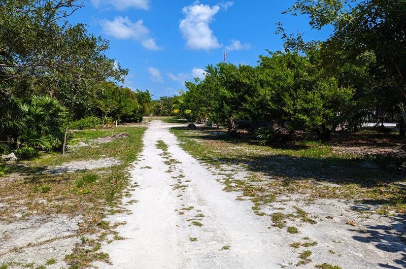 Belize Lot for Sale - North Canal Lagoon Property - View of Road