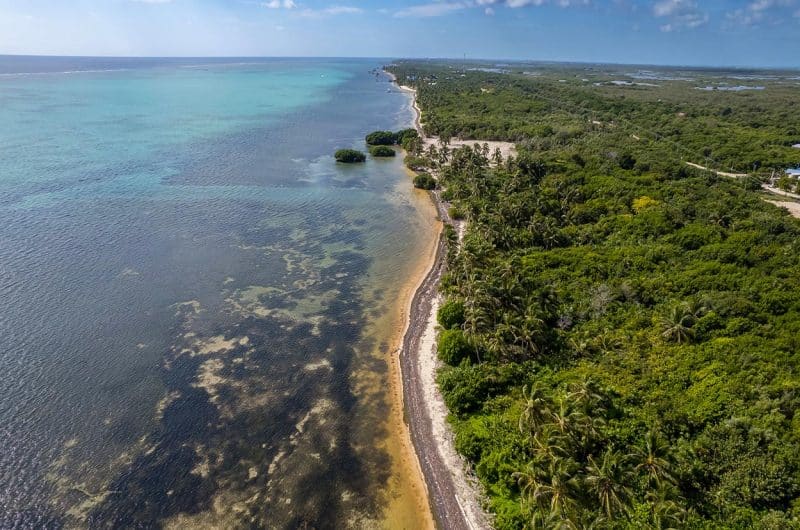 Beachfront Land for Sale in Belize - San Andres - Aerial View of Land Coastline