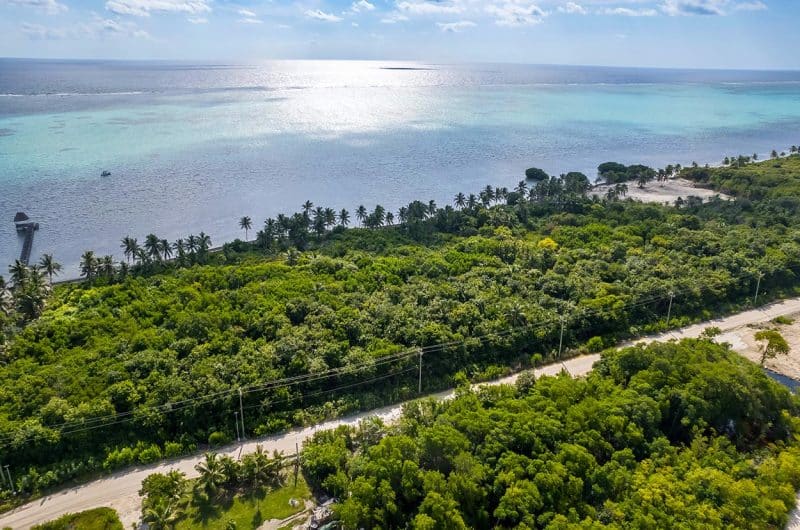 Beachfront Land for Sale in Belize - San Andres - Aerial View of Beach and Ocean Coastline