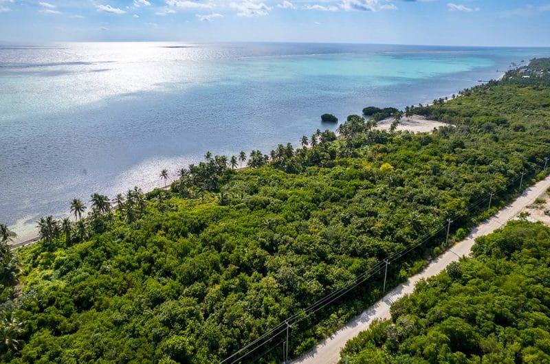 Beachfront Land for Sale in Belize - San Andres - Aerial View of Land and Ocean