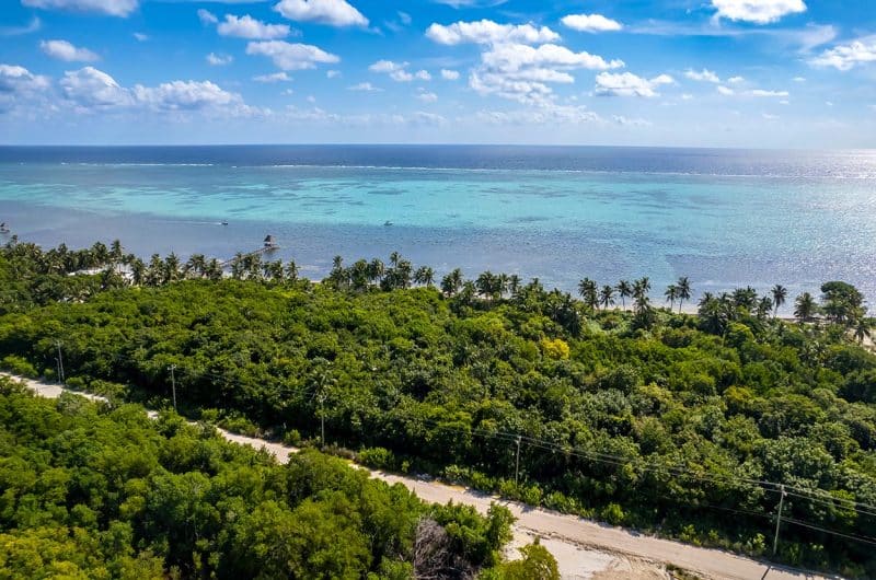 Beachfront Land for Sale in Belize - San Andres - Aerial View of Land and Coastline