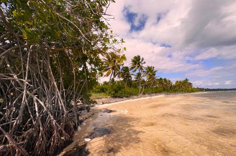 Beachfront Land for Sale in Belize - San Andres - Beach View