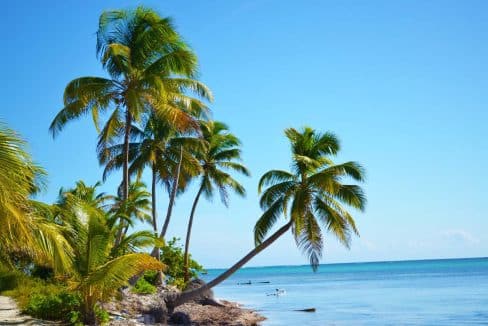 North Beachfront W 2nd Lot 8