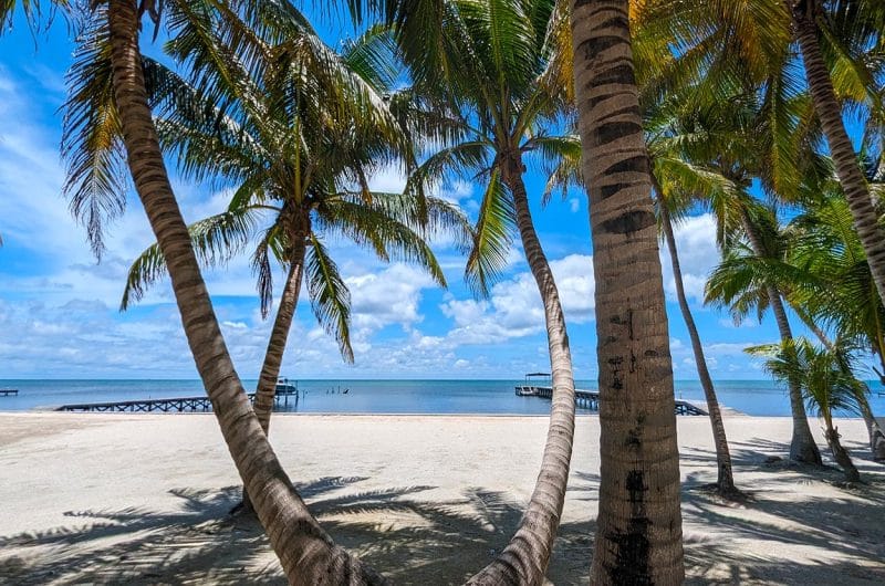 Beachfront Land For Sale Ambergris