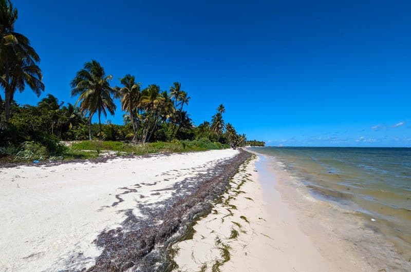 Palmero Point Beachfront For Sale