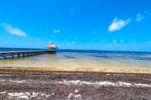 Beachfront Lot For Sale Near Secret Beach Turnoff & San Pedro Town