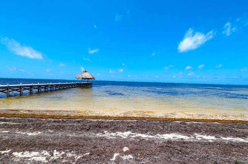 Spanish Reef Beachfront View of Ocean