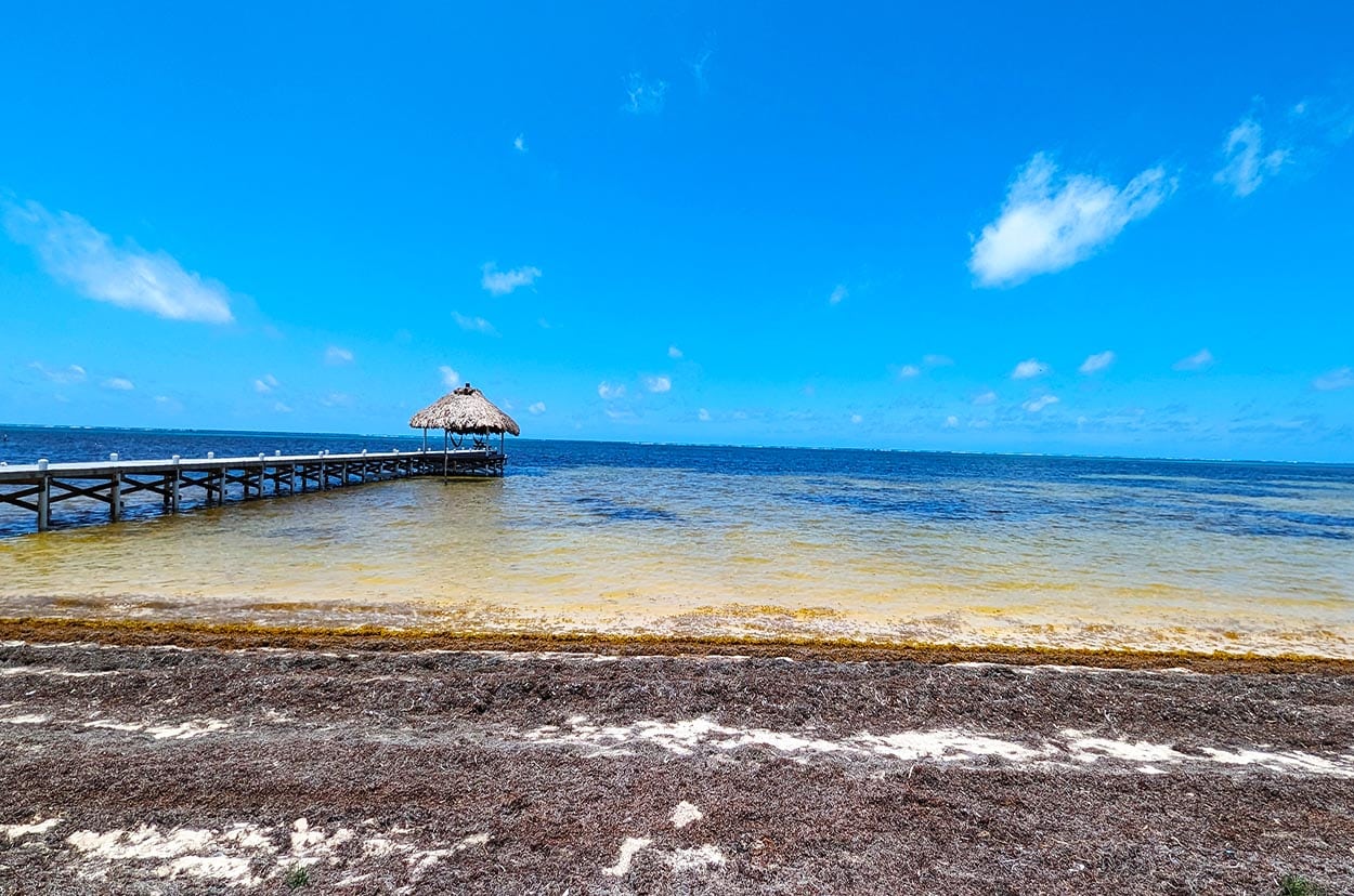 Beachfront Lot For Sale Near Secret Beach Turnoff & San Pedro Town