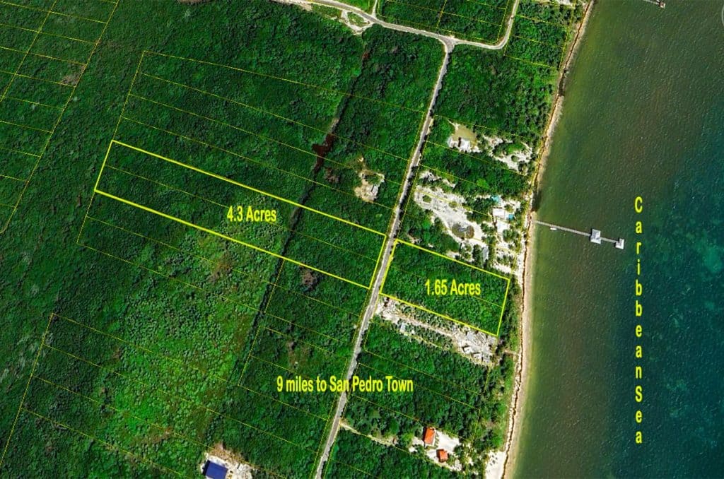 Ambergris Belize Habaneros Beachfront Land
