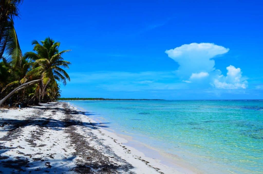 Ambergris Belize Robles Beachfront and 2nd Row Lot
