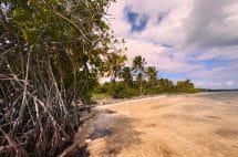 San Andres Beachfront Land Ambergris Caye Realty 2
